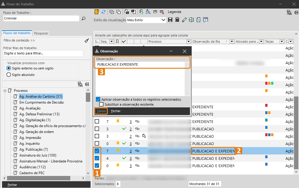 03_inserir_observa__o_aos_processos.png