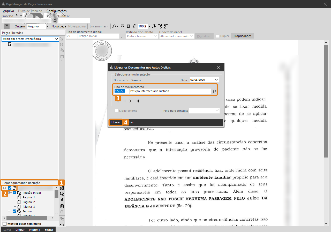 4_liberar_os_documentos_nos_autos.png
