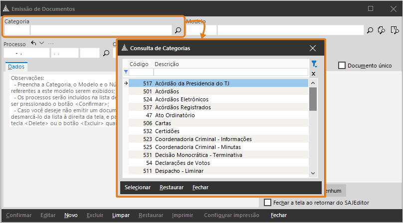 02_categoria_emissao_documento.png